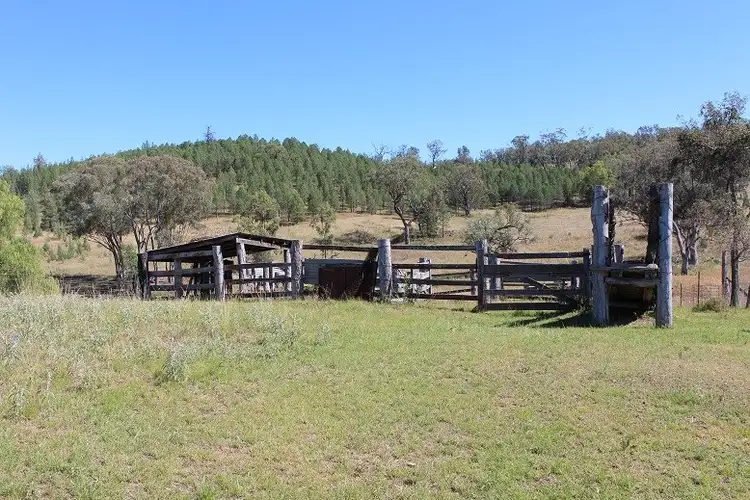 Fourth view of Homely rural property listing, 733 Upper Whitlow Road, Bingara NSW 2404
