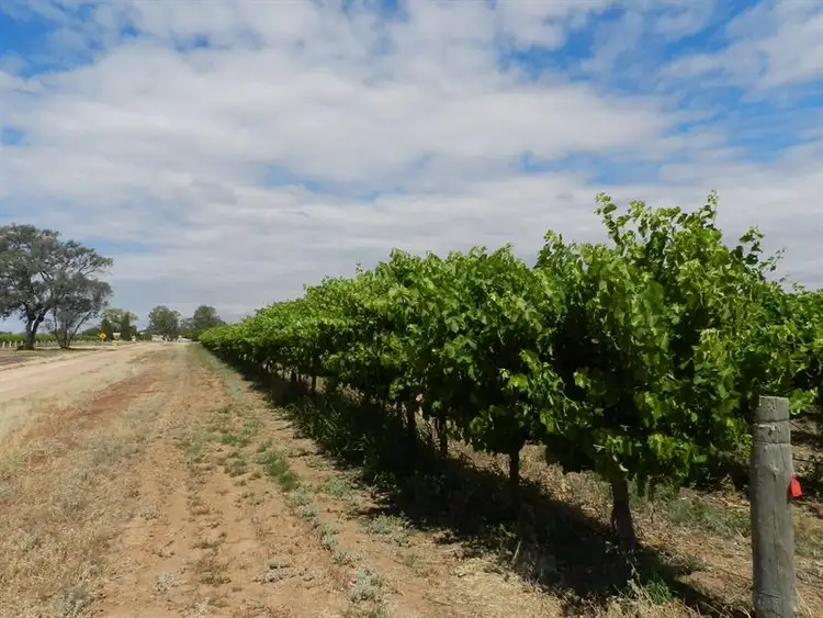 Sixth view of Homely rural property listing, 57 and 58 Schell Road, Cobdogla SA 5346