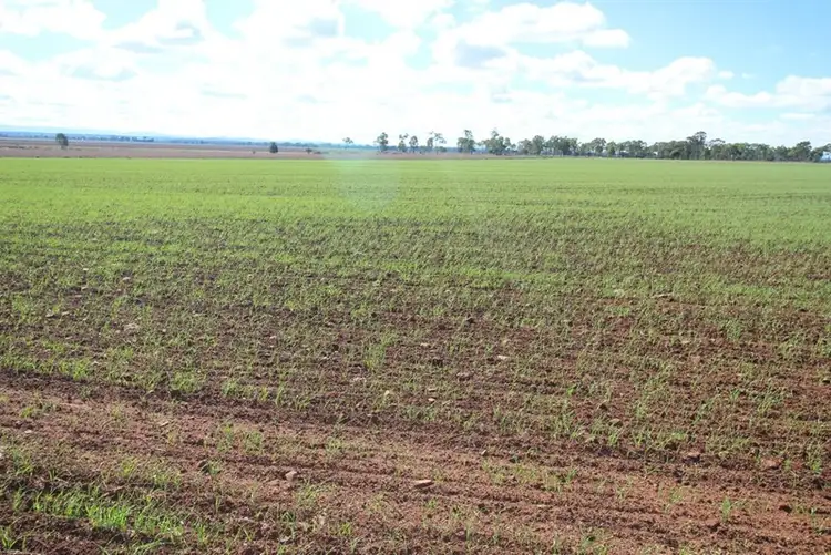 Seventh view of Homely rural property listing, 0 Tates Road, Bowenville QLD 4404