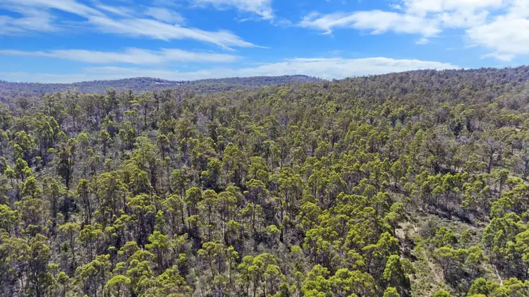 Fourth view of Homely land listing, 274 Lilydale Road, Rocherlea TAS 7248