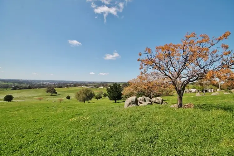 Seventh view of Homely house listing, 130 Belmore Road, Young NSW 2594