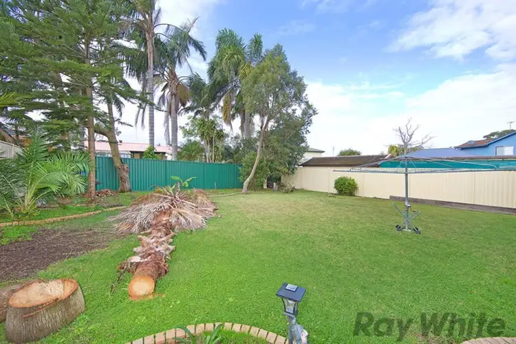 Third view of Homely house listing, 33 Kalele Avenue, Budgewoi NSW 2262