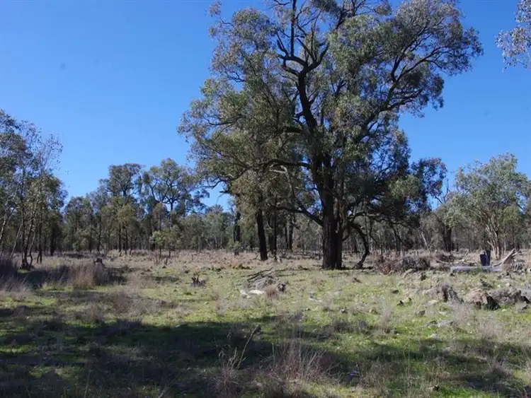 Sixth view of Homely rural property listing, Lot 14 Nullamanna Road, Nullamanna NSW 2360