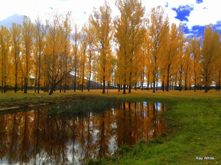 Main view of Homely rural property listing, 1866 Cooma Road, Braidwood NSW 2622