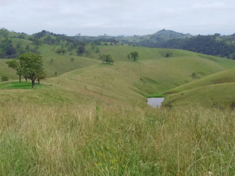 Main view of Homely rural property listing, Address available on request