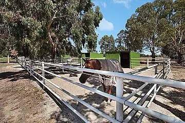 Main view of Homely house listing, 53 Badman Street, Hillier SA 5116