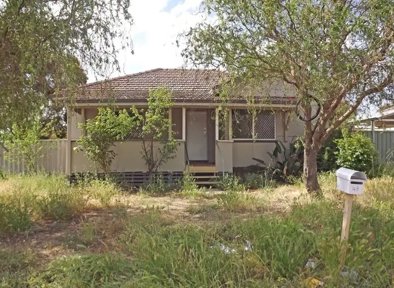 Main view of Homely house listing, 43 Kipling Street, Narrogin WA 6312