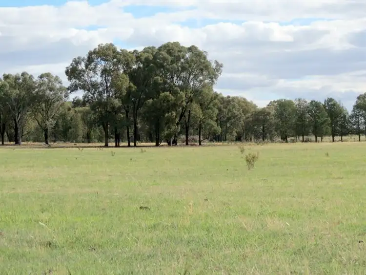 Fifth view of Homely rural property listing, 60 Springdam Road, Temora NSW 2666