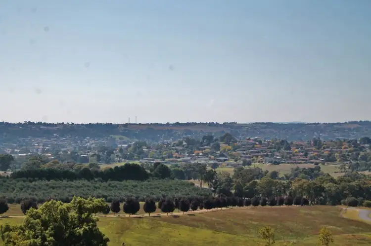 Main view of Homely land listing, 20 Curtis Place, Young NSW 2594