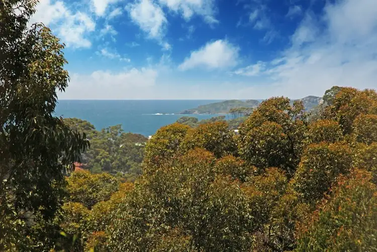 Fourth view of Homely house listing, 125 Vista Avenue, Catalina NSW 2536