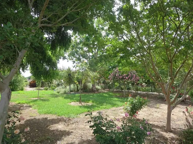 Fifth view of Homely house listing, 115 Hume Street, Howlong NSW 2643