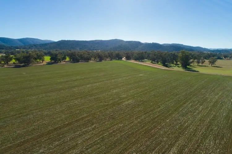 Seventh view of Homely rural property listing, 165 Pengillys Lane, Eugowra NSW 2806