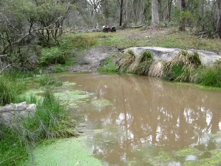 Seventh view of Homely rural property listing, "Thunderbolt Springs" Coonoor Road, Barraba NSW 2347
