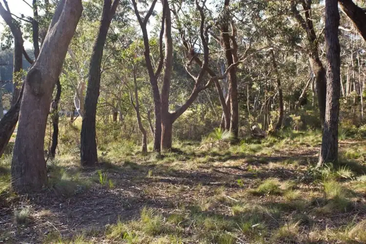 Main view of Homely land listing, Block 5 - Lot 177 and 121 DP 16449 - 32 Godson Avenue, Blackheath NSW 2785