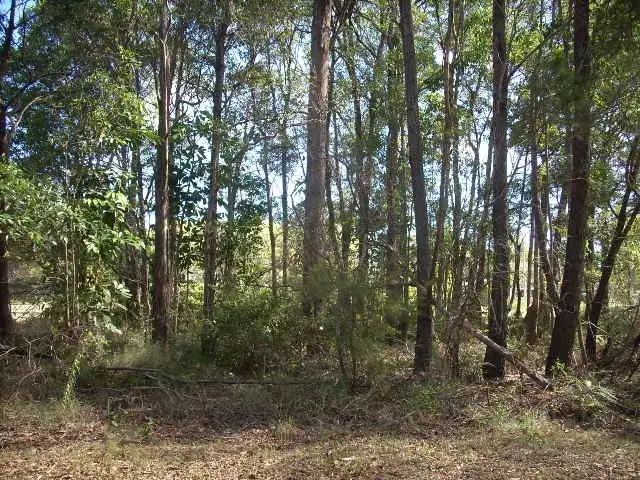 Second view of Homely land listing, 2 Tropic Drive, Russell Island QLD 4184