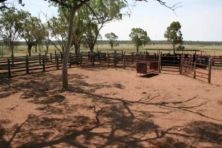 Sixth view of Homely rural property listing, 0 GLENMORE, Surat QLD 4417