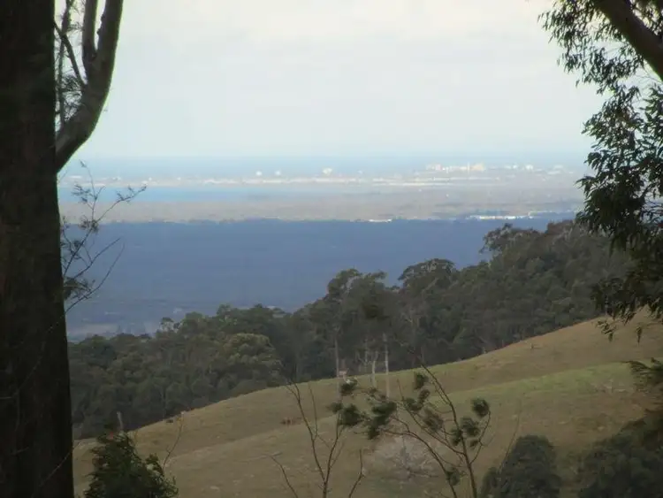 Second view of Homely rural property listing, 99 Pedwell Road, Mount Mee QLD 4521