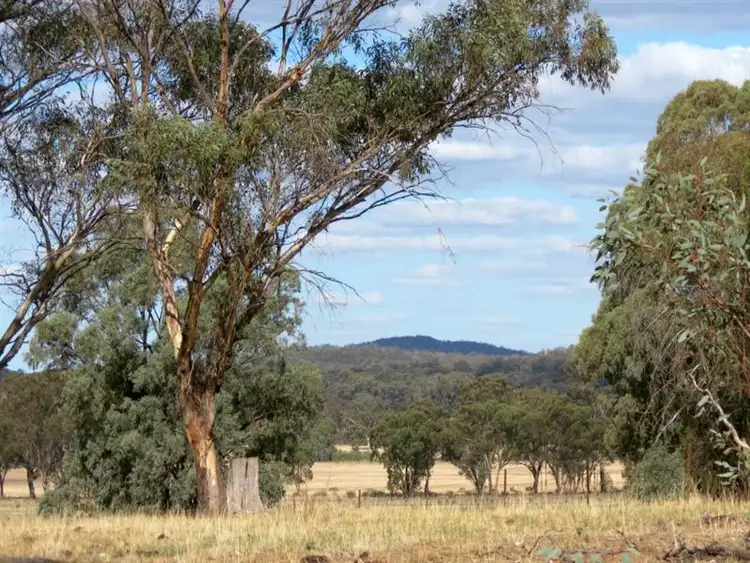 Seventh view of Homely rural property listing, 60 Springdam Road, Temora NSW 2666