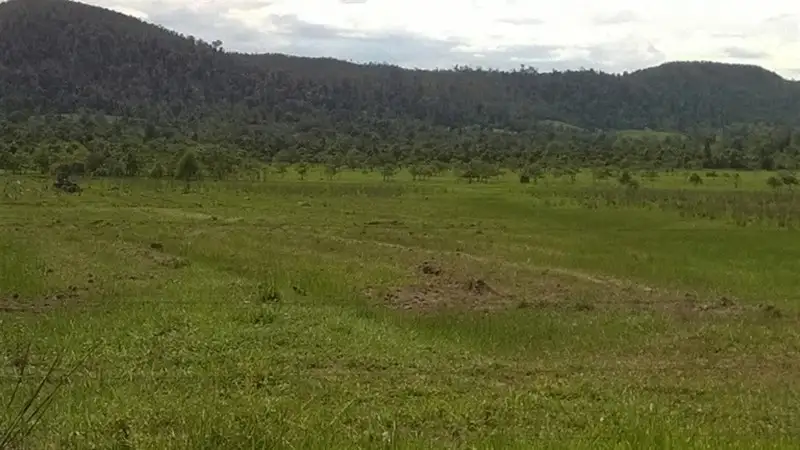 Main view of Homely rural property listing, Lot 3 Warrubullen Road, Warrubullen QLD 4871