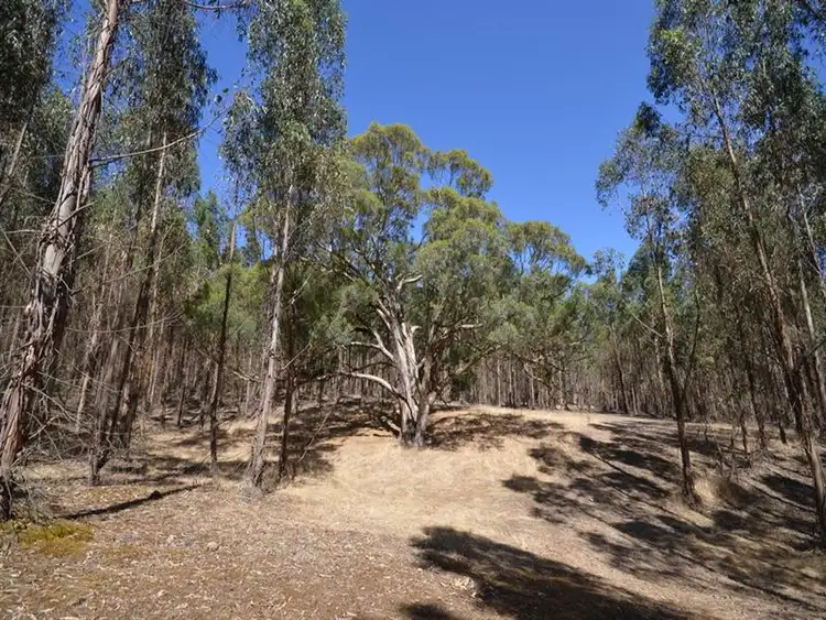Third view of Homely rural property listing, Dreamers Hill Road, Linton VIC 3360