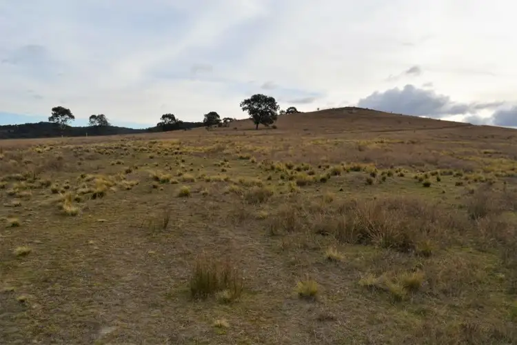 Seventh view of Homely rural property listing, Lot 1 435 'Pine Hill' Towrang Road, Towrang NSW 2580