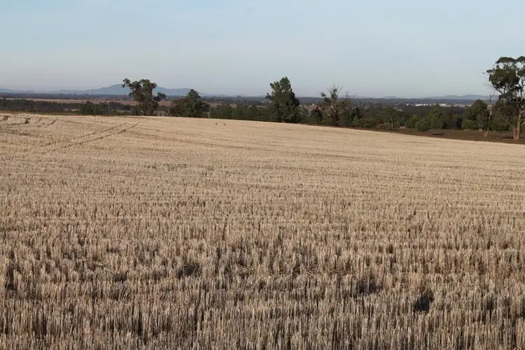 Sixth view of Homely rural property listing, 0 "Farmlea" Limestone Road, Forbes NSW 2871