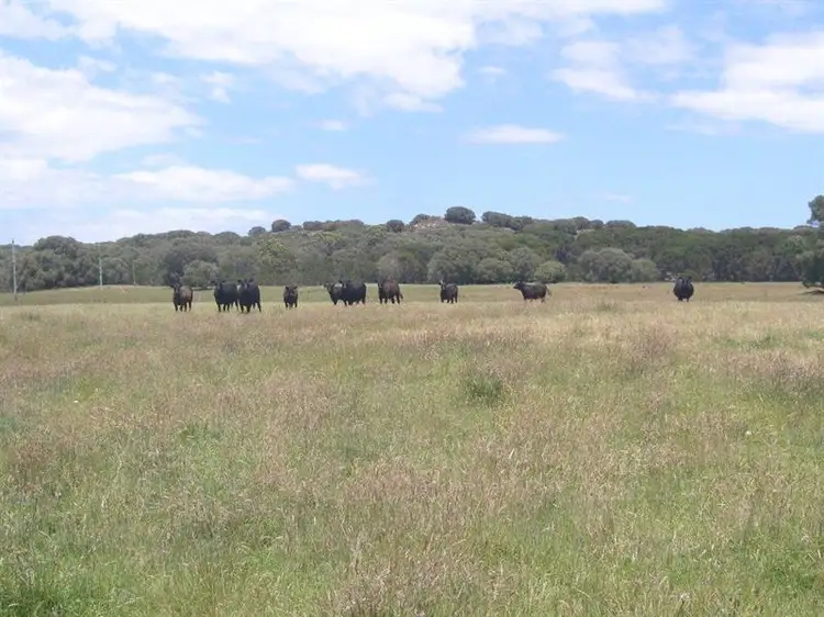 LOT 2842 Thompson Road, Denmark WA 6333