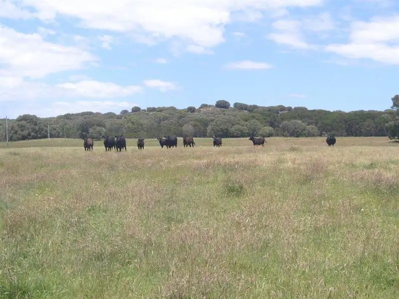 Main view of Homely rural property listing, LOT 2842 Thompson Road, Denmark WA 6333
