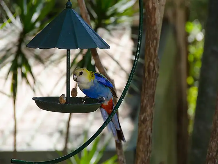 Fifth view of Homely house listing, 15 Lutana Court, Buderim QLD 4556