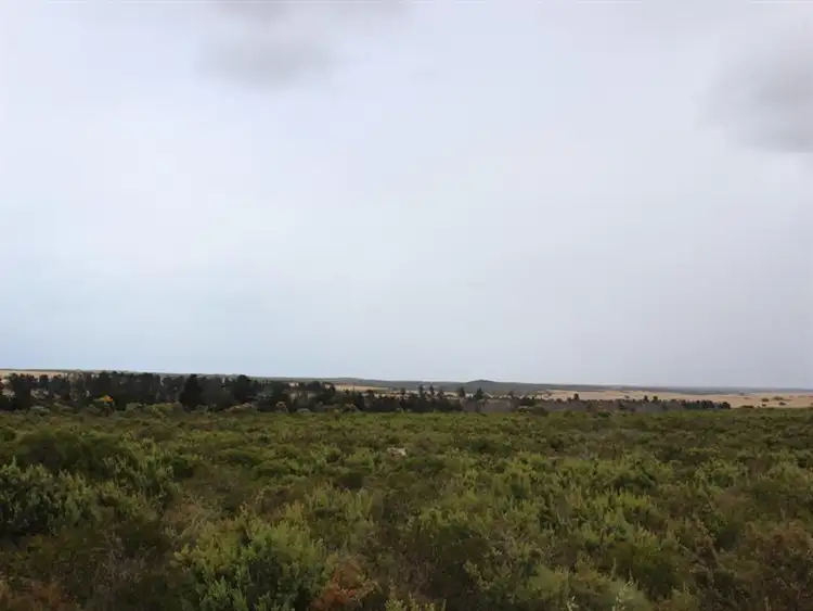 Third view of Homely land listing, 188 TAMARISK Drive, Gabbadah WA 6041