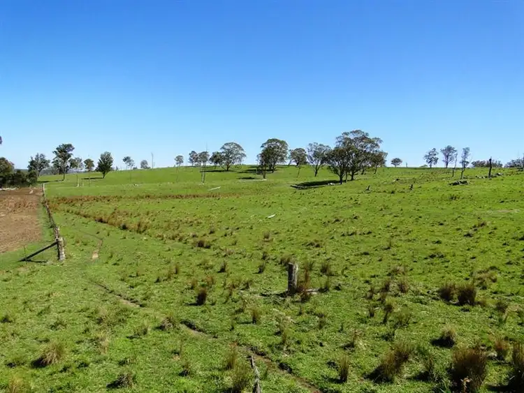 Sixth view of Homely rural property listing, 542 "Oaklands" Long Point Road, Armidale NSW 2350