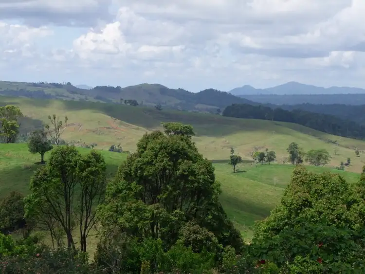 Second view of Homely house listing, 9 Pine Street South, Millaa Millaa QLD 4886