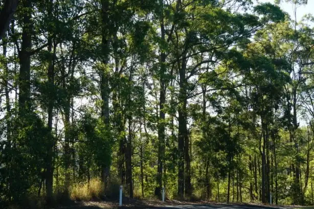 Sixth view of Homely land listing, 22 Upper Rosemount Road (Corner of Rosemount Lane), Rosemount QLD 4560
