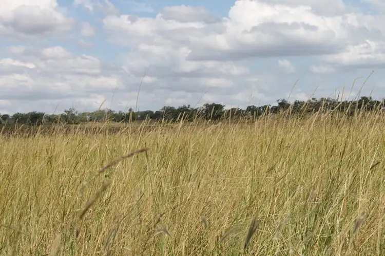 Fifth view of Homely rural property listing, Address available on request