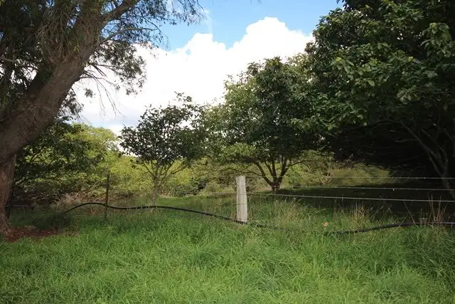Fifth view of Homely rural property listing, 519 Nunans Hill Road, Oberon NSW 2787