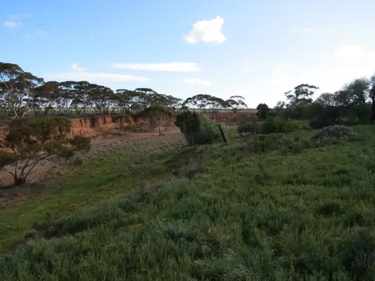 Sixth view of Homely rural property listing, "John's" Stock Route Road, Sutherlands SA 5374