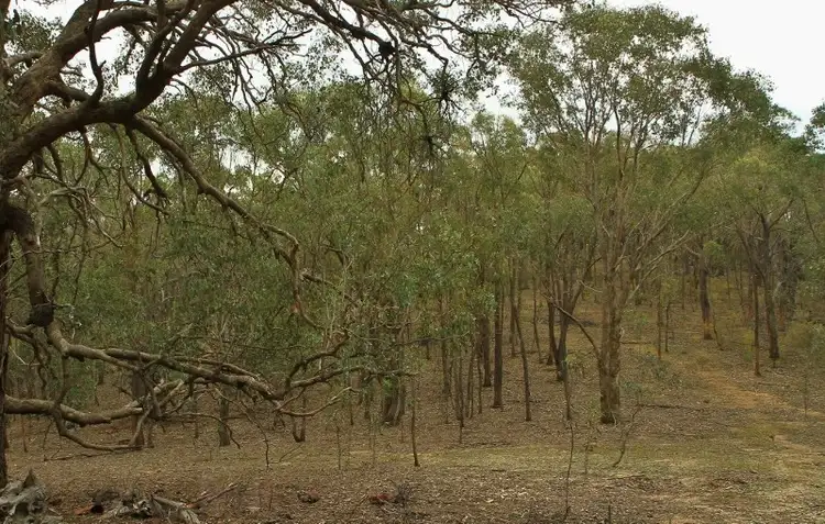 Second view of Homely land listing, Allotment B18 Back Kyneton Road, Heathcote VIC 3523