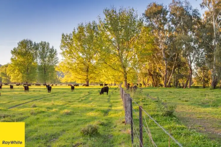 Fifth view of Homely rural property listing, 194 Quidong Road, Tumut NSW 2720