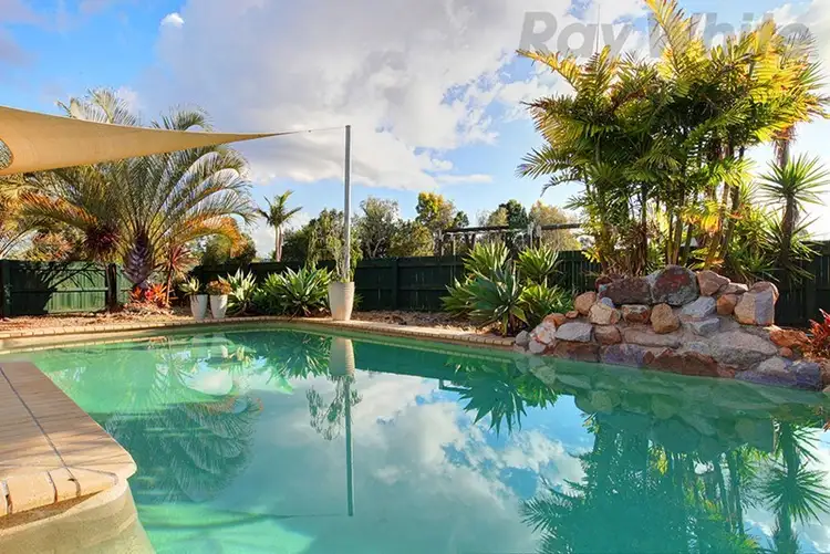 Fourth view of Homely house listing, 3 Chatswood Court, Wamuran QLD 4512