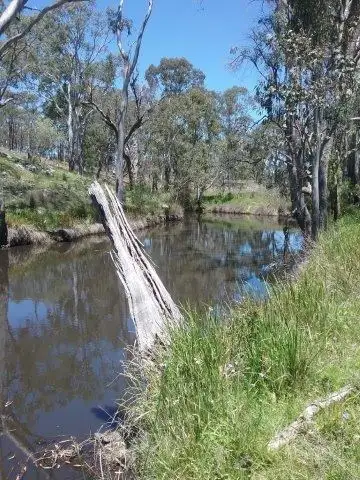 Sixth view of Homely rural property listing, Lot 5 Leyburn Forestry Road, Thanes Creek QLD 4370
