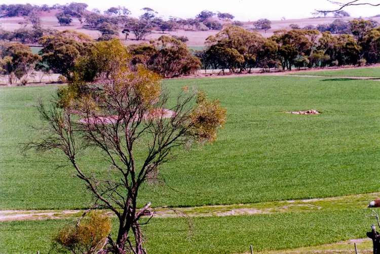 Second view of Homely rural property listing, Exmoor 1 83 Exmoor Road, Moora WA 6510