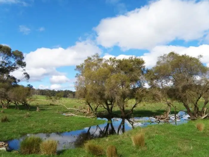 Second view of Homely rural property listing, Lot 120 McKelvie Road, Nannup WA 6275