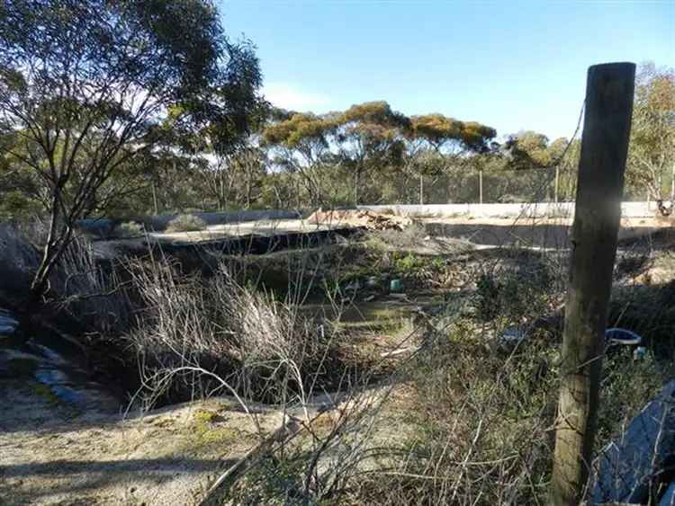 Sixth view of Homely house listing, 209 Bassham Road, Barmera SA 5345