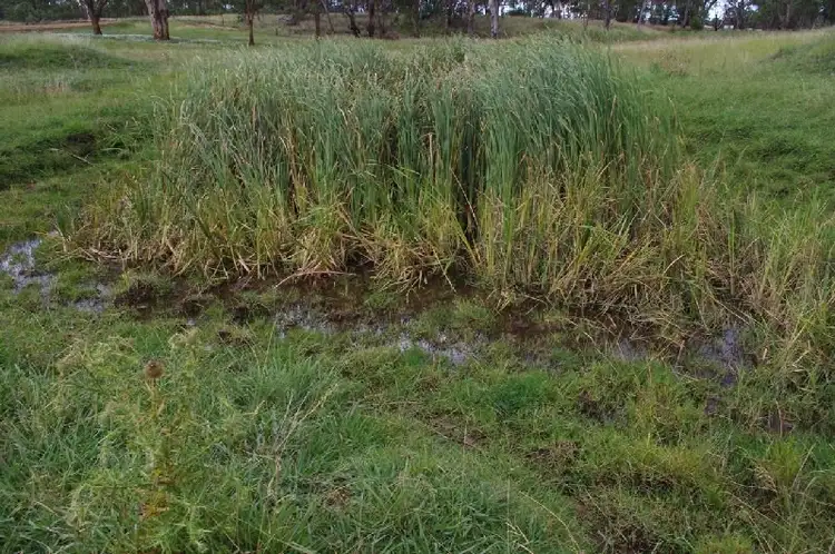 Sixth view of Homely rural property listing, 793 'Lindoran' Copeton Dam Road, Inverell NSW 2360
