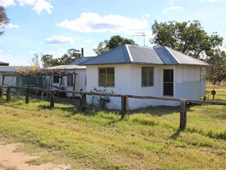 Third view of Homely rural property listing, 285 TOTHILLS Road, Coonabarabran NSW 2357