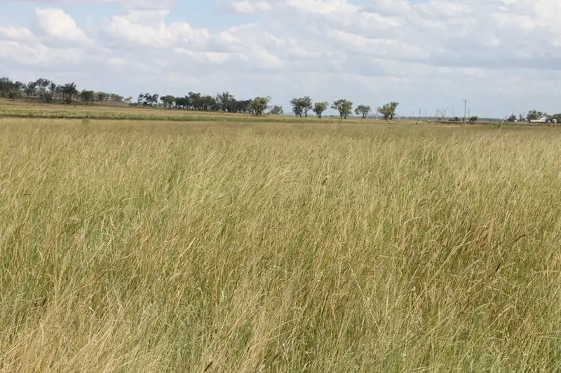 Main view of Homely rural property listing, Address available on request