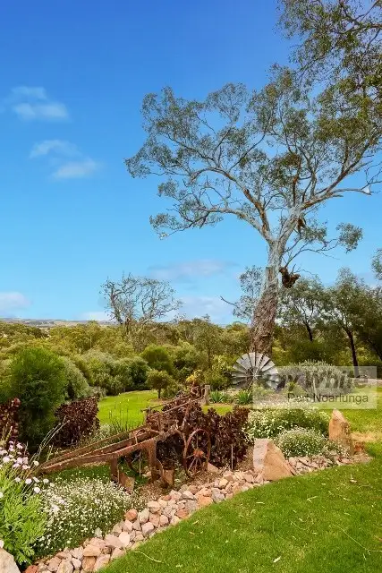 426 McLaren Flat Road, Mclaren Flat SA 5171