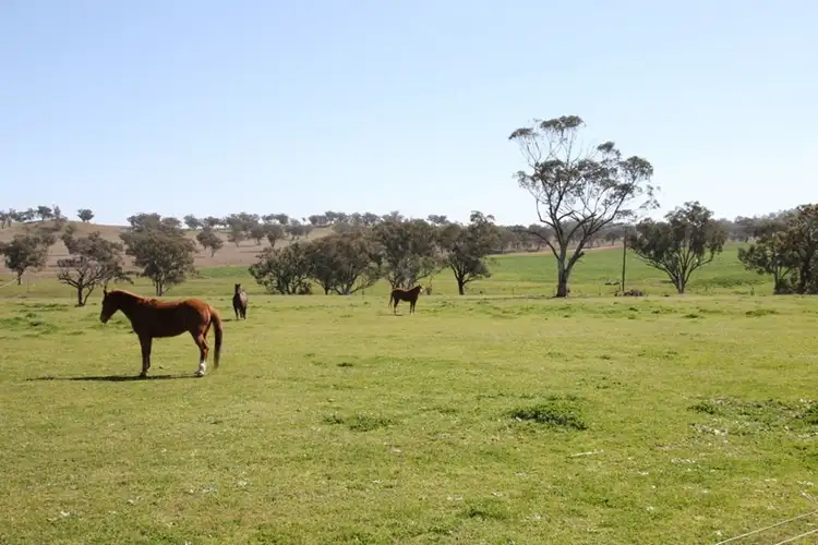 Sixth view of Homely rural property listing, 264 Black Gully Road, Werris Creek NSW 2341
