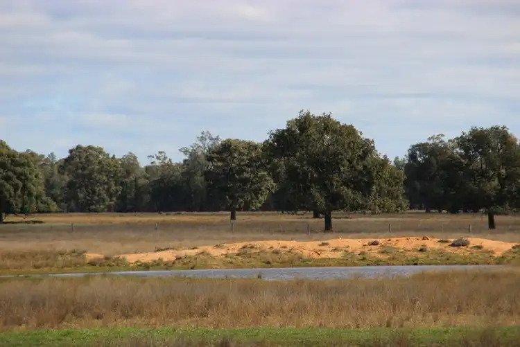 Fourth view of Homely rural property listing, " Euligal", Baradine NSW 2396