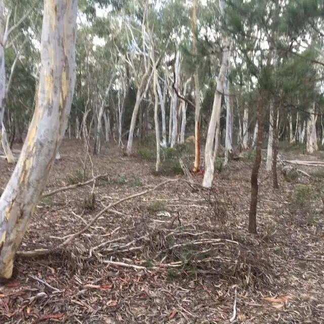 Sixth view of Homely rural property listing, 21 Wattle Place, Goulburn NSW 2580